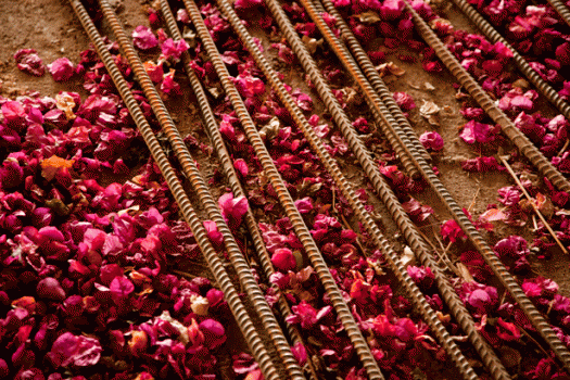 5185961644 C4b315a0d2 O